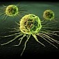 Cancer Cell Avatars Make Drug Testing Easier, More Patient-Friendly