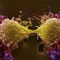 Cancer Vaccine Moves to Human Clinical Trials