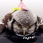 Canoeist Rescues Owl from Freezing Finnish Lake