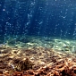 Carbon Erodes the Very Fabric of Marine Ecosystems