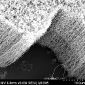 Carbon Nanotubes Set Basis for Synthetic Brain