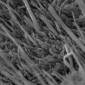 Carbon Nanotubes More Suited for Electronics than Metal