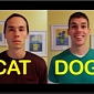 Cat-Friend vs. Dog-Friend – What If Your Friends Acted like Pets