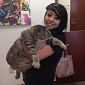 Cat Named Meatball Weighs 36 Pounds (16.3 Kilograms)