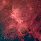 Cat's Paw Nebula Going Through a “Baby Boom”