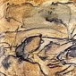 Cave Sporting 36,000-Year-old Drawings Listed as a World Heritage Site