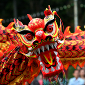 Celebrate Spring Festival with These Free Windows 8 Apps