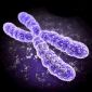 Cell Survival Depends on Chromosome Integrity