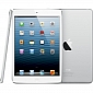 Cellular iPad Mini Now Available in India via Infibeam