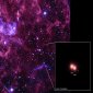 Chandra Observes the Fastest Star Ever