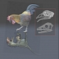Changes in Dinosaur Evolution Led to the Emergence of Birds
