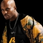Chaos Breaks Out at DMX Charity Performance