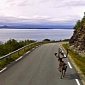Check Out All the Wild Animals National Geographic Found in Street View