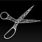 Check Out the Most Elegant Scissors Ever