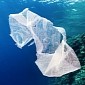 Chicago Moves to Ban Plastic Shopping Bags
