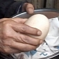 Chicken Lays Giant Egg Containing Another Egg and 2 Yolks – Video