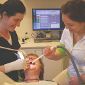 Children Dental-Care Habits Tied to Their Parents'