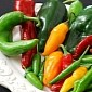 Chili Peppers Reduce Gut Tumors Risk, Evidence Suggests