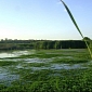 China Has Lost 9 Percent of Its Wetlands