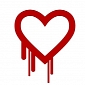 Hackers Are Scanning the Web for Websites Vulnerable to Heartbleed Attacks