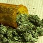 Chronic Pain Sufferers Can Grow Their Own Marijuana, German Court Rules