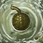 Circular-Shelled Turtle Fossil Found in South America