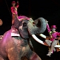 Circus Accused of Animal Cruelty Pays $15,000 (€12,220) Fine