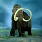 Climate Change Was the Main Reason Woolly Mammoths Became Extinct
