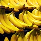 Cocaine Delivered Instead of Bananas to Danish Supermarket