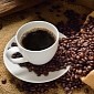 Coffee Protein Fragments Are Similar to Morphine, Can Relieve Pain