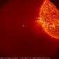 Comet ISON Probably Destroyed by the Sun