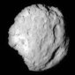Comet Wild 2 Has Asteroid-like Composition