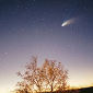 Comets May Have Brought Life Here
