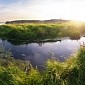Companies in the UK to Test Bioenergy from Wetlands Technologies