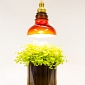 Company Makes Lamps from Recycled Glass Bottles - Video