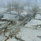 Company of Heroes 2 Authenticity Is Linked to Intensity and Immersion