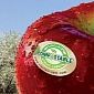 Compostable Fruit Label Takes Just 22 Weeks to Break Down