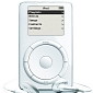 Connecting Multiple iPods to Windows iTunes