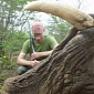 Conservation Official Guilty of Killing Elephant, Posing with Its Corpse