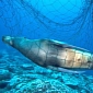 Conservationists Plan to Sue US Federal Government Over Marine Wildlife