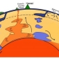 Continents Formed by Ancient Superplumes