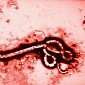 Copper Could Help Prevent the Spread of the Deadly Ebola Virus