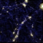 Cosmic Void Galaxies Are Arranged in Delicate Strings