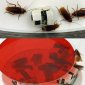 Could Robots Help us Get Rid of Cockroaches?