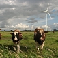 Couple Made 'Noisy Windfarm' Developers Pay