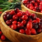 Cranberry Juice Prevents, Even Cures Bladder Infections