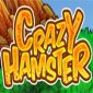 Crazy Hamster Now Available for Nokia Touch Phones