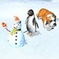 Create Your Own Penguin Colony in Penguins Mania