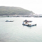 Creating Sustainable Aquaculture Fisheries Is Possible