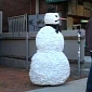 Creepy Snowman Returns with Another Viral Compilation – Video